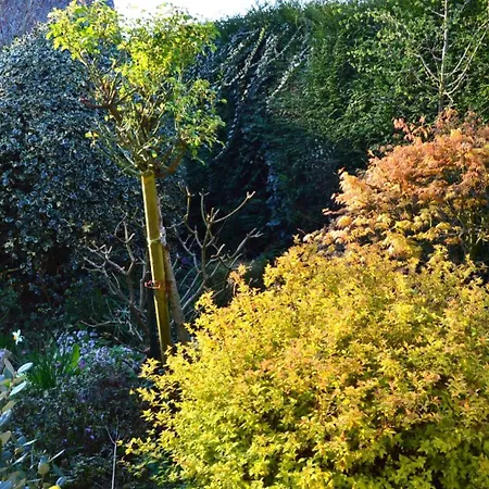 L'oree Des Pres - De Charme - 3 Etoiles Holiday home Ouville-la-Riviere